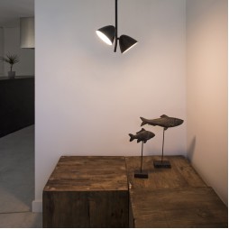 Colgante Flash 2 luces negro Faro